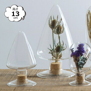 c[^V[h{g 13cm 22588 7.5×13cm e ϔMKX CeA  u KXh[ WpKXh[ X܏Y fBXvC AeB[N V[P[X RNV