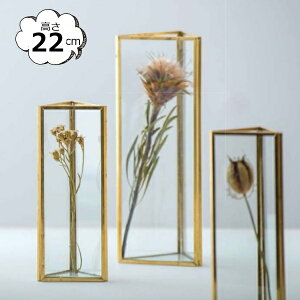 ԕr t[x[X t[t[x[X \bh KX uX Op^ S[h \bh 22702 POSH LIVING |bVrO KXAeB[N {gx[X ԕr ԕr ֑}  
