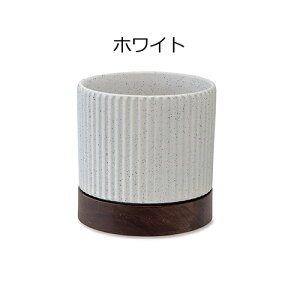 ^CfB|bg L Aؔ  \[T[ Zbg v^[ t[|bg K[fjO  C_XgA K[fjO |  zCg O[ sNx[W