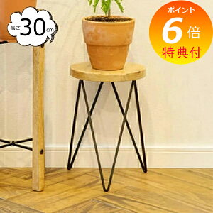 yTtz t[X^h T[NX^h 30cm 41300 v^[{bNX v^[ v^[X^h/t[X^h ACA fUC |bN ACA ؐkK[