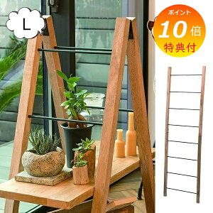 yTtz _[ LTCY nK[ Ċ| 41313 X^Cv nK[ ؐ ACA ANZT[ Xq  CeA _ G݁yz