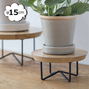 |bgX^h T[NR|[g 15cm 41359 v^[{bNX v^[ v^[X^h/t[X^h ACA fUC |bN ACA ؐkK[fjO | G