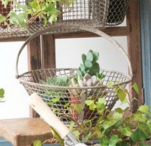 AeB[N K[foXPbg S ACA 62632 g[ gC ϗtA fUCG  K[fjO oRj[ x_ ItBX fUCG K[fG K[fjOG 