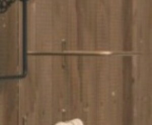 ACA}`o[M AeB[NS[h ubN AeB[N }`o[ [o[ ^Io[ ^InK[