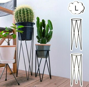 |bgX^h LTCY 5Ή 63597 63598 v^[{bNX v^[ v^[X^h/t[X^h ACA fUC |bN ACA ؐkK[fjO | GN