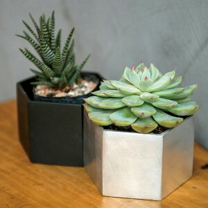 wLTS|bg ubN Vo[ 63666 63667 ꌊL A~  Aؔ  v^[ Jo[ |bg K[f K[fjO G 