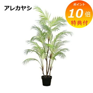 yTtz AJV  C~e[V 81023 tFCNO[ ϗtA  lHϗtA tFCNO[ CeAO[ yz