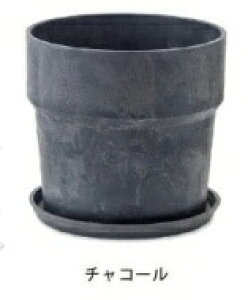 A[ovc|bg 5Ή 16.5×15.5cm `R[ ~N Vi JVX  u[x[ Aؔ v^[Jo[ t[|bg   ϗtA A T{e K