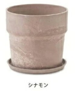 A[ovc|bg 5Ή 16.5×15.5cm `R[ ~N Vi JVX  u[x[ Aؔ v^[Jo[ t[|bg   ϗtA A T{e K