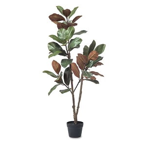 tBJX C~e[V |bg yCeA ϗtA lHA  C~e[V t ԁz 81131