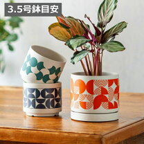 楽天市場】昭和レトロ（植木鉢・プランター｜ガーデニング・農業）：花 