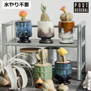 �U �J�N�e�B�|�b�g �T�{�e�� ���� �C�~�e�[�V���� �|�X�g�W�F�l���� POST GENERAL THE CACTI POT �C�~�e�[�V���� �|�b�g �y�C���e���A �ϗt�A�� �l�H�A�� ������� �C�~�e�[�V���� ���t�� ���ԁz