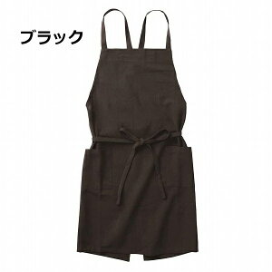 Gv CG[ J[L ubN  \ bv JWA n 100  Gv [NGv ăGv  E₷ fB[X Vv  ۈm | d