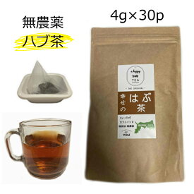 ハブ茶 はぶ茶 国産 30P 無農薬 ハブ茶 決明子 決明子茶 決明茶 ケツメイシ 鳥取県産 はぶ草茶 エビスグサ ノンカフェイン 送料無料 マイボトル ティーバッグ ティーパック ソイロン 国産 4g×30包 健康茶 国産の健康茶