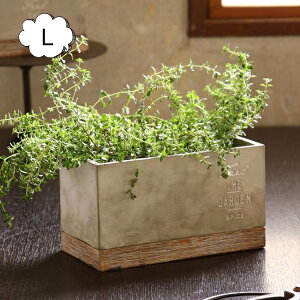 Zgv^[ Ng L 3×2ڈ FEEL THE GARDEN CBGZ2043 XpCX Aؔ v^[Jo[@t[|bg   ϗtA A T{e K[fG i`K[f 