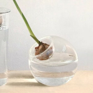 球根 水栽培 ヒヤシンス 花瓶の人気商品 通販 価格比較 価格 Com