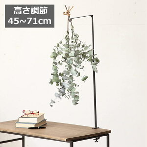 WZtACA NvnMOtbN XpCX SPICE OF LIFE DTFF2350 AeB[NX^C tbN nMO nMO tbN/MONbv/݂艺/݂邷/[/[/Lb