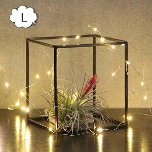 WZtACA fBXvCC[t[ L[u LTCY XpCX SPICE OF LIFE DTFF2403 AeB[NX^C ACA fBXvCbN bN [ I[v Lrlbg VF