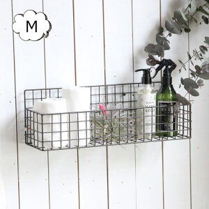 WZtACA C[oXPbg MTCY 42cm XpCX SPICE OF LIFE DTFF2432 WZt AeB[NX^C