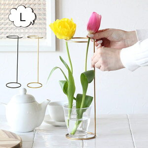 WZtACA t[T|[gC[X^h LTCY XpCX WZt SPICE OF LIFE DTFF2513 AeB[NX^C