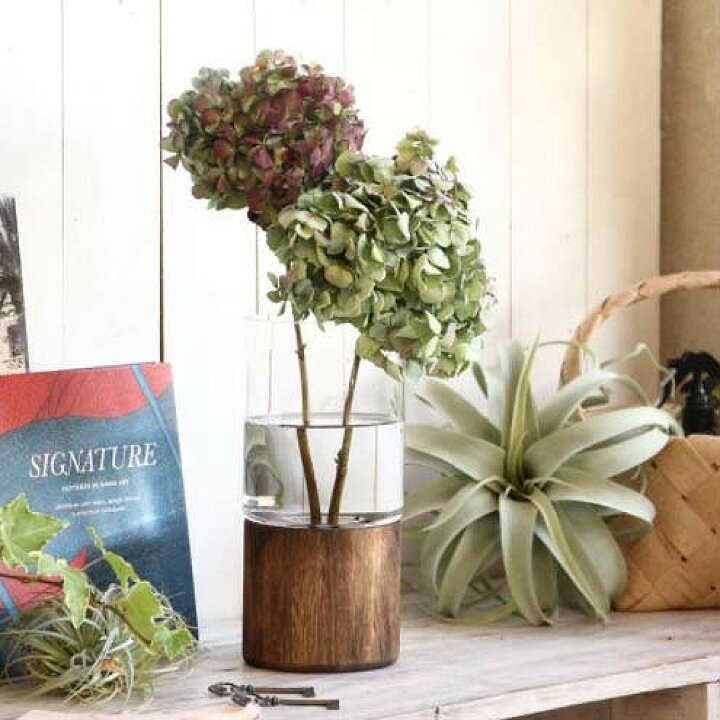 楽天市場 Bold フラワーベース スタンド 花瓶 木 ウッド 大きい Dggz1050 フラワーベース セパレート Bold フラワーベース シリンダー 木 花 フラワー フラワーグラス 花瓶 ガラス ガラスベース シンプル おしゃれ 置物 北欧 花器 インテリア雑貨 インテリア メルシー