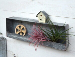 AeB[N eBEH[VFt 1i azi-azi AWAW EH[VFt I 1iy|Cg10{z