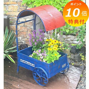 yTtz [tJ[gv^[ uE bh AeB[N AWAW azi-azi AZ-3024 v^[X^h/t[X^h 1i X`[ fUC |bNkK[fjO | 