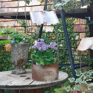 ^[tv^[/B AeB[N [tS azi-azi AWAW t[|bg   ϗtA K[fG i`K[f K[fjO  v^[ t[  񂹐A