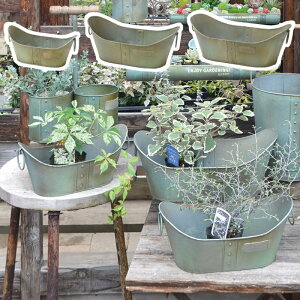 Io[uL|bg 3TCYZbg AeB[N azi-azi AWAW Ǌ|v^[ K[f G nMO |bg K[fjOG