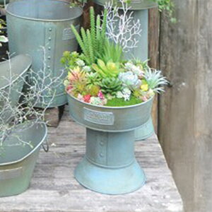 gtB[^uLv^[ V[g Jo[ K[f|bg uE AWAW azi-azi AZ-5069 Jo[ X`[|bg X`[  Aؔ X`[ v^[ K[fjOG A