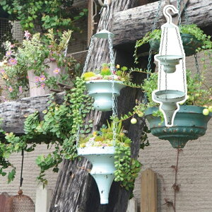 nMO_u^v^[ A nMO v^[ N azi-azi AWAW AeB[N g i t[|bg K[f|bg   A  |bg K[fjO O[ A 