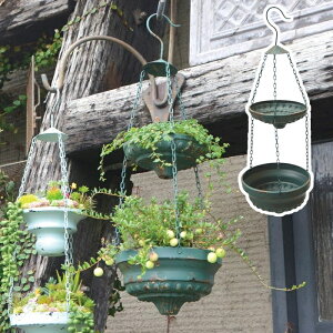 nMO_u^v^[ B nMO v^[ N azi-azi AWAW AeB[N g i t[|bg K[f|bg   A  |bg K[fjO O[ A 