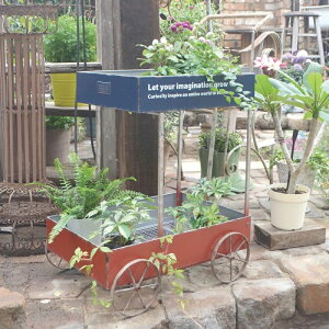 �X�e�b�v�J�[�g �A���e�B�[�N�� azi-azi �A�W�A�W �v�����^�[ �� �G�N�X�e���A �K�[�f�j���O �� �K�[�f�j���O / �� / �v�����^�[ / �t�����[ / �����A�� / �񂹐A�� �y�������� �|�C���g10�{�z