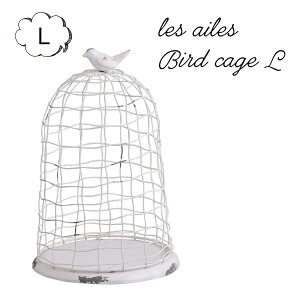 o[hP[W v^[ [ o[h:Q[W L zCg  Ƃ Rg  Ƃ g o[h bird F AeB[N Are v^[ K[f G K[fjOG