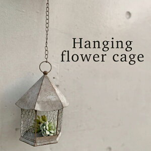 nMOEt[P[W AeB[N K[f K[fjO G EH[nMO ݂艺 ͂񂬂 [{bNX  oXPbg K[fjO G  MY-102-BR