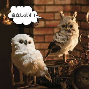 ӂ낤 ݂݂ ~~YN IE AeB[N ӂ낤 tNE  sJ owl zCg O[ K[f}XRbg K[fjO u IuWF I[ig 