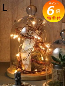 yTtz KXh[ L IuWFȂǂŴɃIXXȃKXh[P[X GLASS DOME WpKXh[ X܏Y fBXvC AeB[N V[P[X RNV{