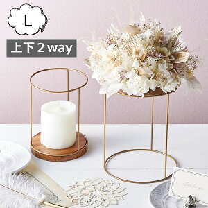 Eht[X^h L 2way AeB[N v^[X^h/t[X^h 1i AJVA X`[ fUC |bNkK[fjO | GNXeApil