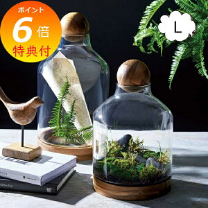 yTtz ԕr t[x[X Eht[x[X L AJVA ؐ AeB[N ԕr t[x[X///t[/Vv/ u/k/Ԋ/CeAG/Ce