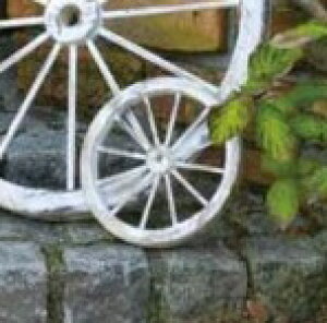 AeB[N EH[fR[V ԗ ؐ K[fG i`G