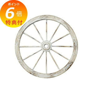 yTtz AeB[N EH[fR[V ԗ ؐ K[fG i`G