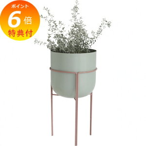 yTtz t[X^h AgXEX^h|bg RxgK[f CeAK[fjOp Jo[ t[ Aؔ |bg AeB[N v^[ oPc K[