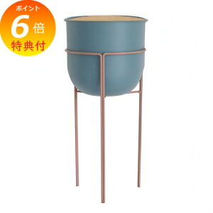 yTtz t[X^h Apb`EX^h|bg RxgK[f CeAK[fjOp Jo[ t[ Aؔ |bg AeB[N v^[ oPc K[