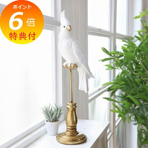 yTtz zCgpbgp[` zCg F  Ƃ Rg  Ƃ g o[h bird RxgK[f COVENT GARDEN BK-58  IuWF u u IuWF K[fG Ce