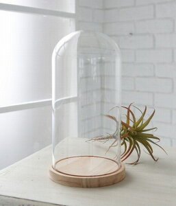 g[h[ yCOVENT GARDEN RxgK[fz IuWF u IuWFȂǂŴɃIXXȃKXh[P[X GLASS DOME WpKXh[ X܏Y fBXvC AeB[