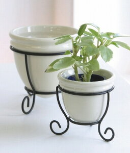 AeB[N N[E|bgX^h2_Zbg yCOVENT GARDEN RxgK[fz K[fG i`K[f PC-80