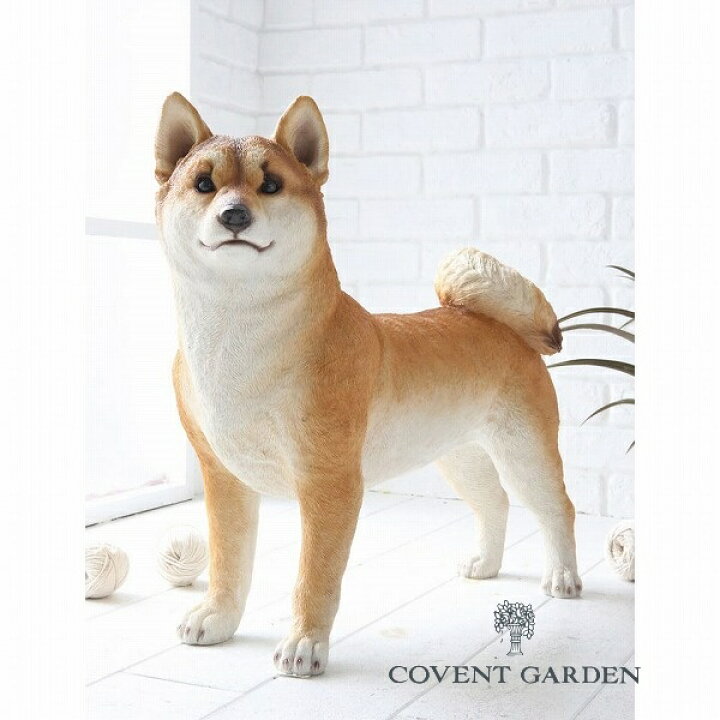 楽天市場 シバイヌ 犬 柴犬 いぬ イヌ Dog ドッグ ドック アンティーク調 Covent Garden コベントガーデン Ts 55 ガーデンマスコット ガーデニング 置き物 オブジェ オーナメント 動物 送料無料 メルシープレゼント 雑貨屋