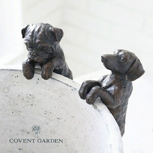 R[gv`ps[2_Zbg uhbO ~j`A_bNX AeB[N   Ck dog hbO hbN  RxgK[f COVENT GARDEN TW-05 K[f}XRbg K[fjO u 