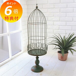 【特典付き】 アンティーク風 エバー・プランツケージ 【COVENT GARDEN コベントガーデン】 ガーデン雑貨 ナチュラルガーデン VI-59 【送料無料 ポイント10倍】