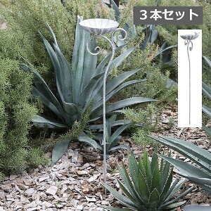 AWeE\[T[sbN 3{Zbg AeB[N RxgK[f COVENT GARDEN K[fG i`K[f o[htB[_[ 쒹̉a ̃GT  K[fpI